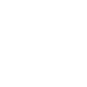 icon_mauer