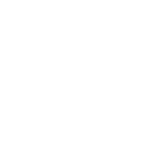 icon_pflastern