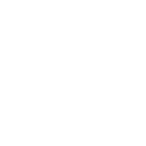 icon_verputzen